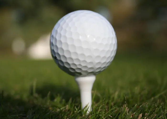 Hotel Uzwil فندق