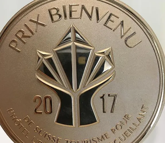 Hotel Uzwil فندق