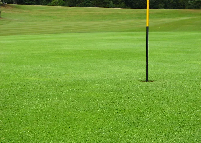 Hotel Uzwil فندق Uzwil