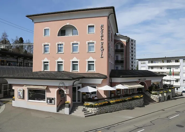 فندق Hotel Uzwil 4*