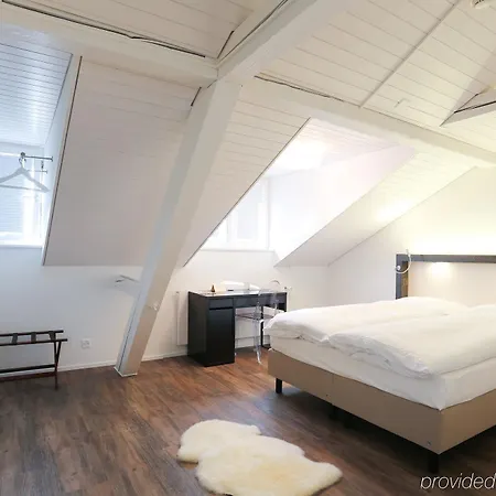Hotel Hotel Uzwil 4*